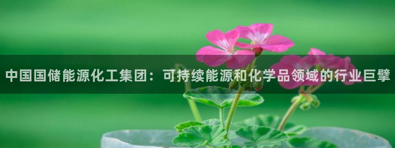 球盟会黑嘛：中国国储能源化工集团：可持续能源和化学品领域的行