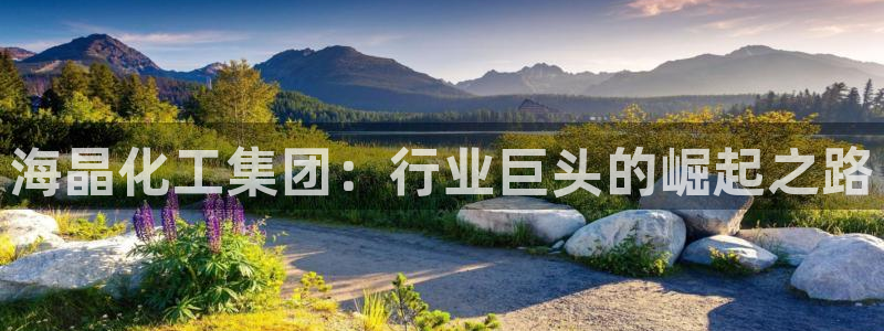 球盟会官方下载