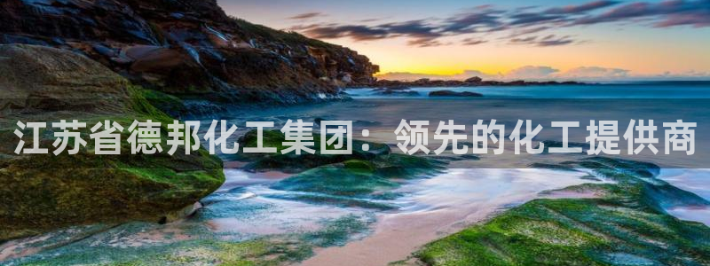 球盟会官方网入口：江苏省德邦化工集团：领先的化工提供商