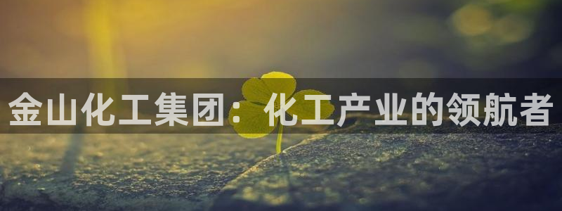 球盟会官方登录平台入口