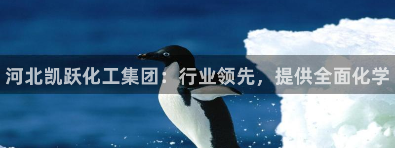 球盟会最新地址备用：河北凯跃化工集团：行业领先，提供全面化学