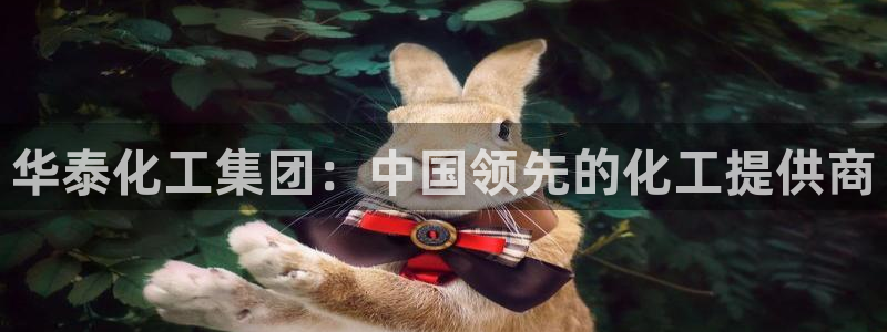 球盟会app手机登录：华泰化工集团：中国领先的化工提供商