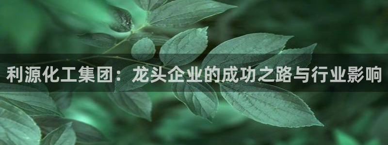 球盟会类似的网站