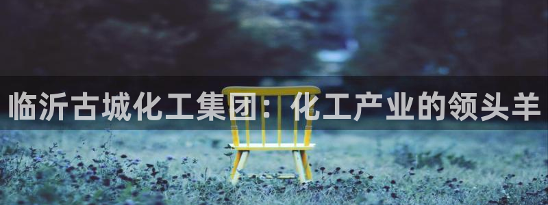 球盟会电子