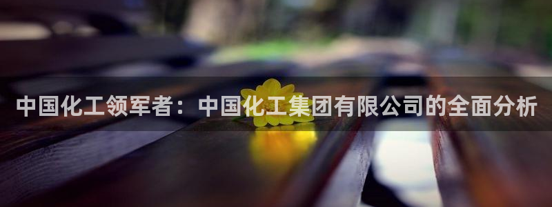 球盟会登录平台：中国化工领军者：中国化工集团有限公司的全面分