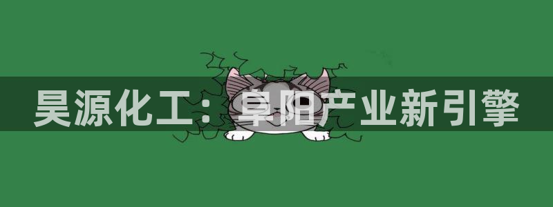 球盟会用的客服聊天是哪个软件：昊源化工：阜阳产业新引擎