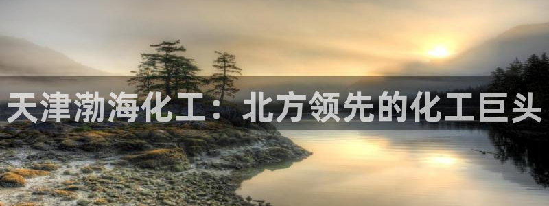 球盟会封号：天津渤海化工：北方领先的化工巨头