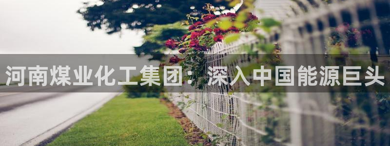 球盟会能退钱吗现在