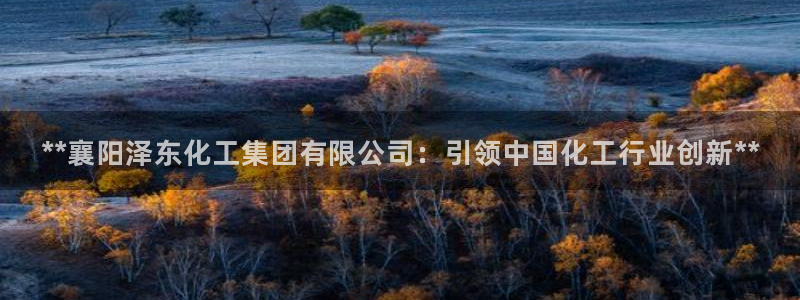 球盟会能提现吗是真的吗：**襄阳泽东化工集团有限公司：引领中