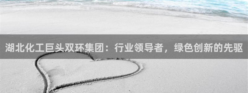 球盟会电子：湖北化工巨头双环集团：行业领导者，绿色创新的先驱
