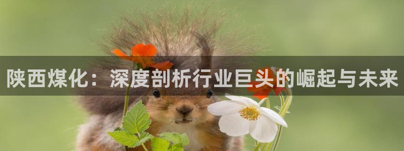 球盟会官网入口