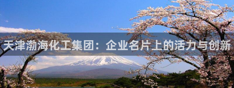 球盟会电子好下吗：天津渤海化工集团：企业名片上的活力与创新