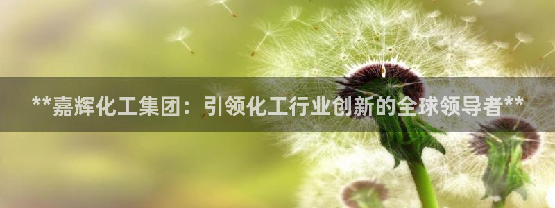 球盟会qmh官网：**嘉辉化工集团：引领化工行业创新的全球领