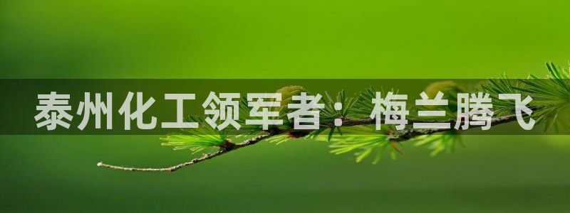 球盟会app最新地址在哪：泰州化工领军者：梅兰腾飞