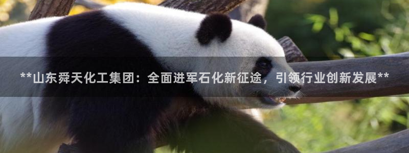 球盟会里面有打牌的嘛是真的吗：**山东舜天化工集团：全面进军