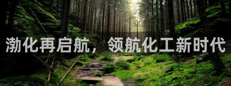 球盟会官方登录平台入口：渤化再启航，领航化工新时代