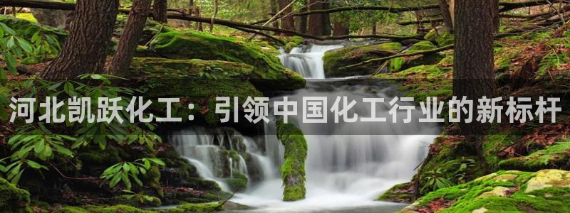 球盟会中国官方网站