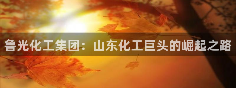 球盟会网页版登陆