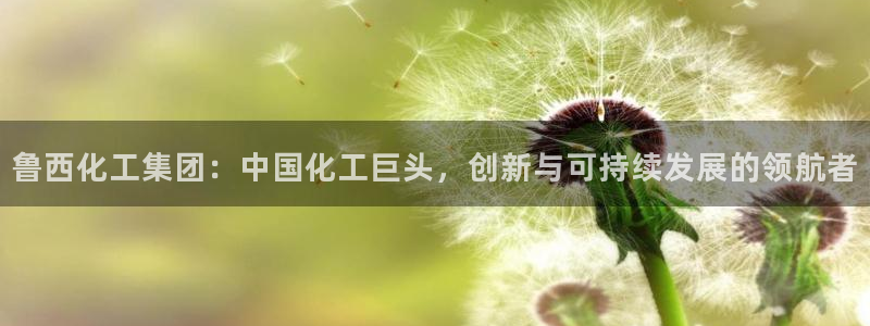球盟会几点玩合适