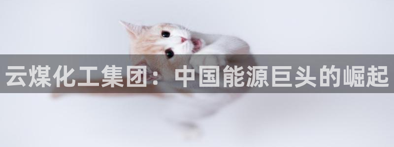球盟会和中欧会的区别