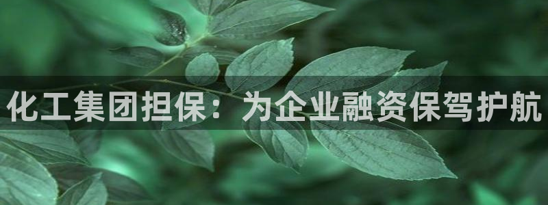 球盟会和中欧会的区别