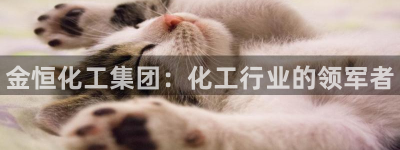 球盟会app最新地址在哪看