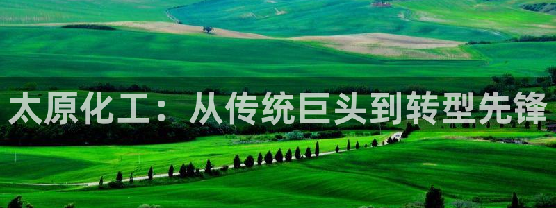 球盟会平台怎么样