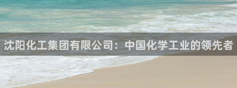 球盟会：沈阳化工集团有限公司：中国化学工业的领先者