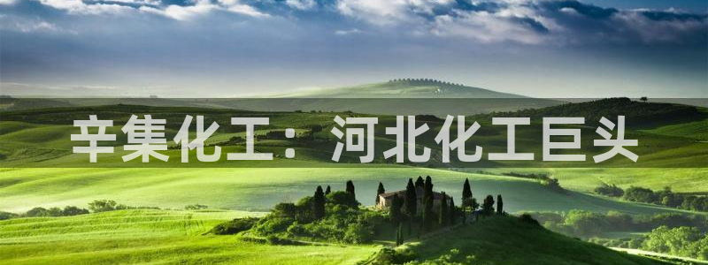 球盟会能退钱吗知乎：辛集化工：河北化工巨头