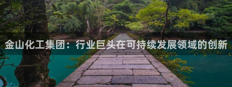 球盟会在线登录官网：金山化工集团：行业巨头在可持续发展领域的