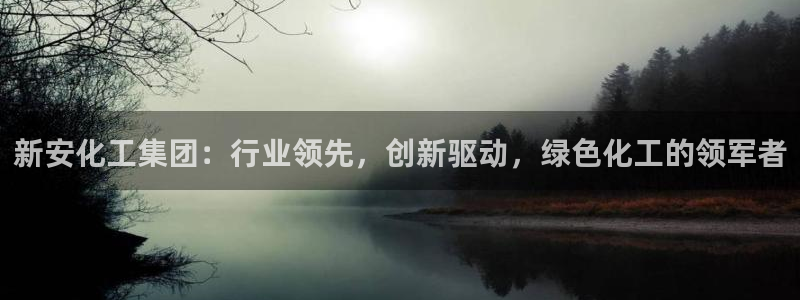 球盟会可以提现么现在：新安化工集团：行业领先，创新驱动，绿色