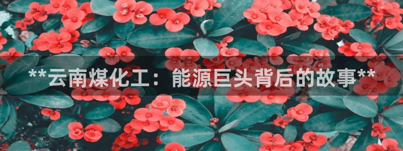 球盟会(中国)官方网站