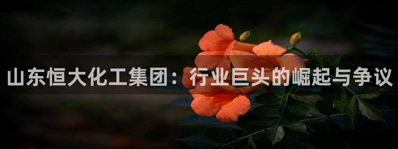球盟会在线网站