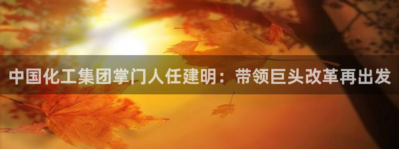 球盟会类似的网站