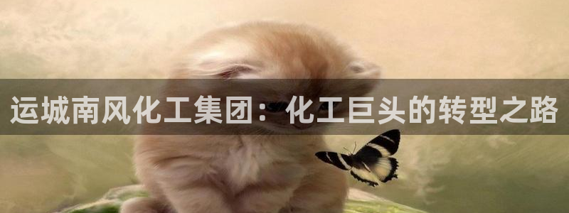 球盟会中国官方网站