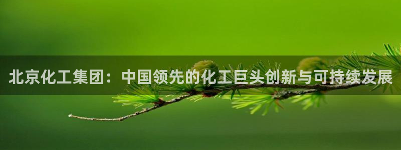 球盟会app最新地址在哪里：北京化工集团：中国领先的化工巨头