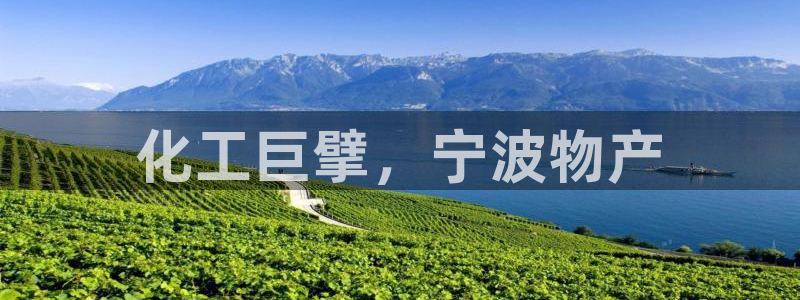 球盟会app最新地址在哪看：化工巨擘，宁波物产