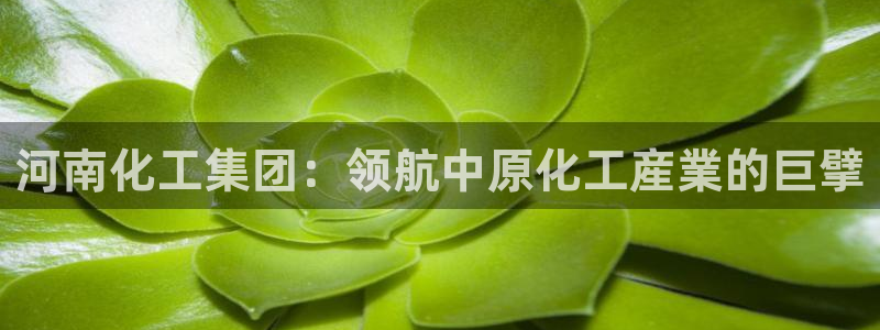 球盟会qmh