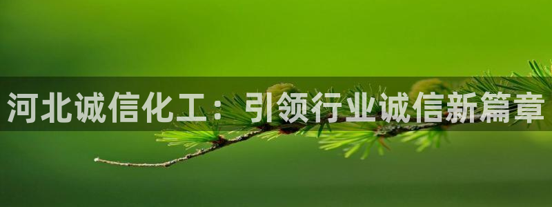 球盟会几点玩合适