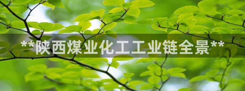 球盟会app入口