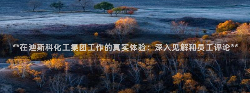 球盟会电子：**在迪斯科化工集团工作的真实体验：深入见解和员