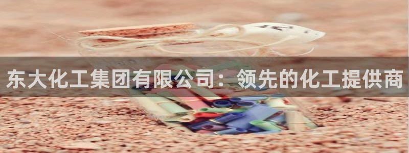 球盟会qmh：东大化工集团有限公司：领先的化工提供商