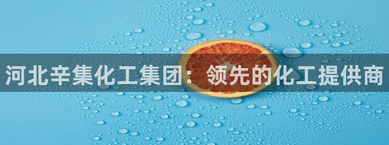 球盟会app入口：河北辛集化工集团：领先的化工提供商