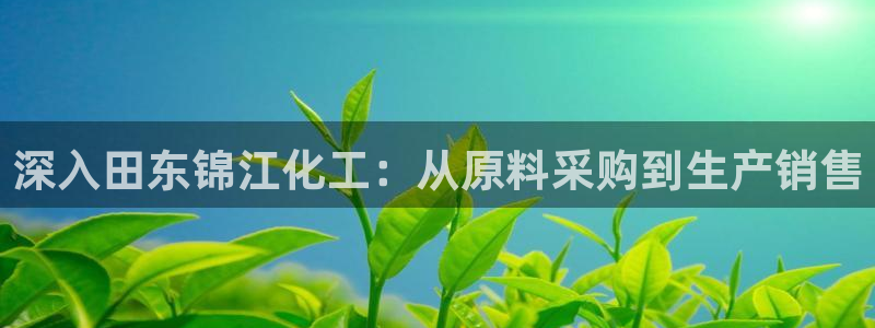 球盟会中国官方网站