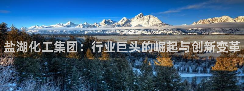 球盟会电子好下吗