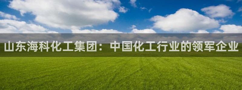 球盟会qmh电子网页版登录：山东海科化工集团：中国化工行业的