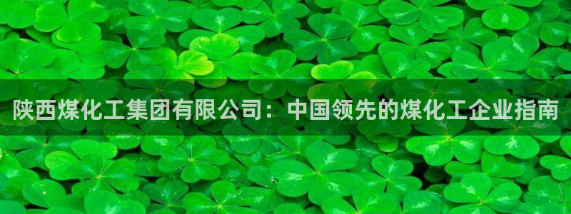 球盟会网址多少：陕西煤化工集团有限公司：中国领先的煤化工企业