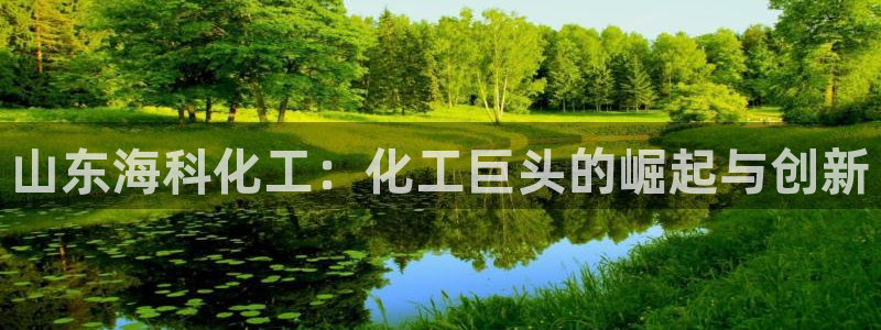 球盟会入口