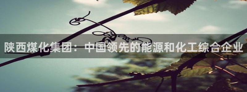 球盟会可靠不：陕西煤化集团：中国领先的能源和化工综合企业