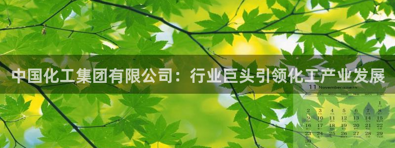 球盟会能提现吗：中国化工集团有限公司：行业巨头引领化工产业发
